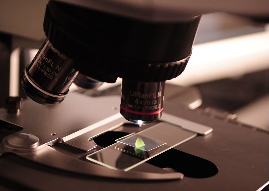 settore farmaceutico con microscopio