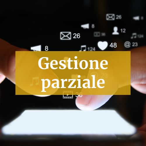 servizio gestione social parziale